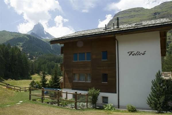 Felicé